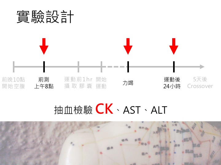 中醫運動醫學實務理論概述-TASM版-6